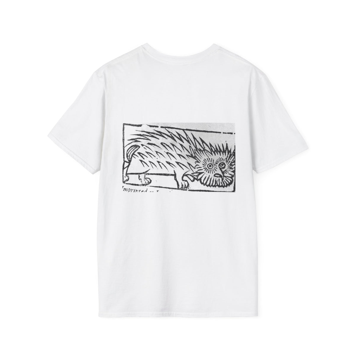 A Detection of Damnable Driftes Witchcraft T-Shirt
