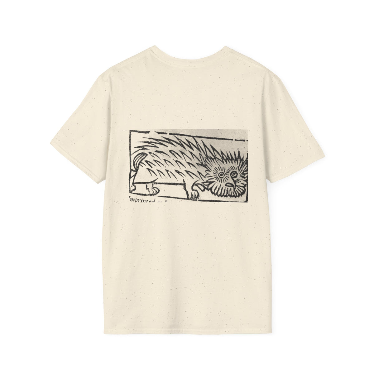 A Detection of Damnable Driftes Witchcraft T-Shirt