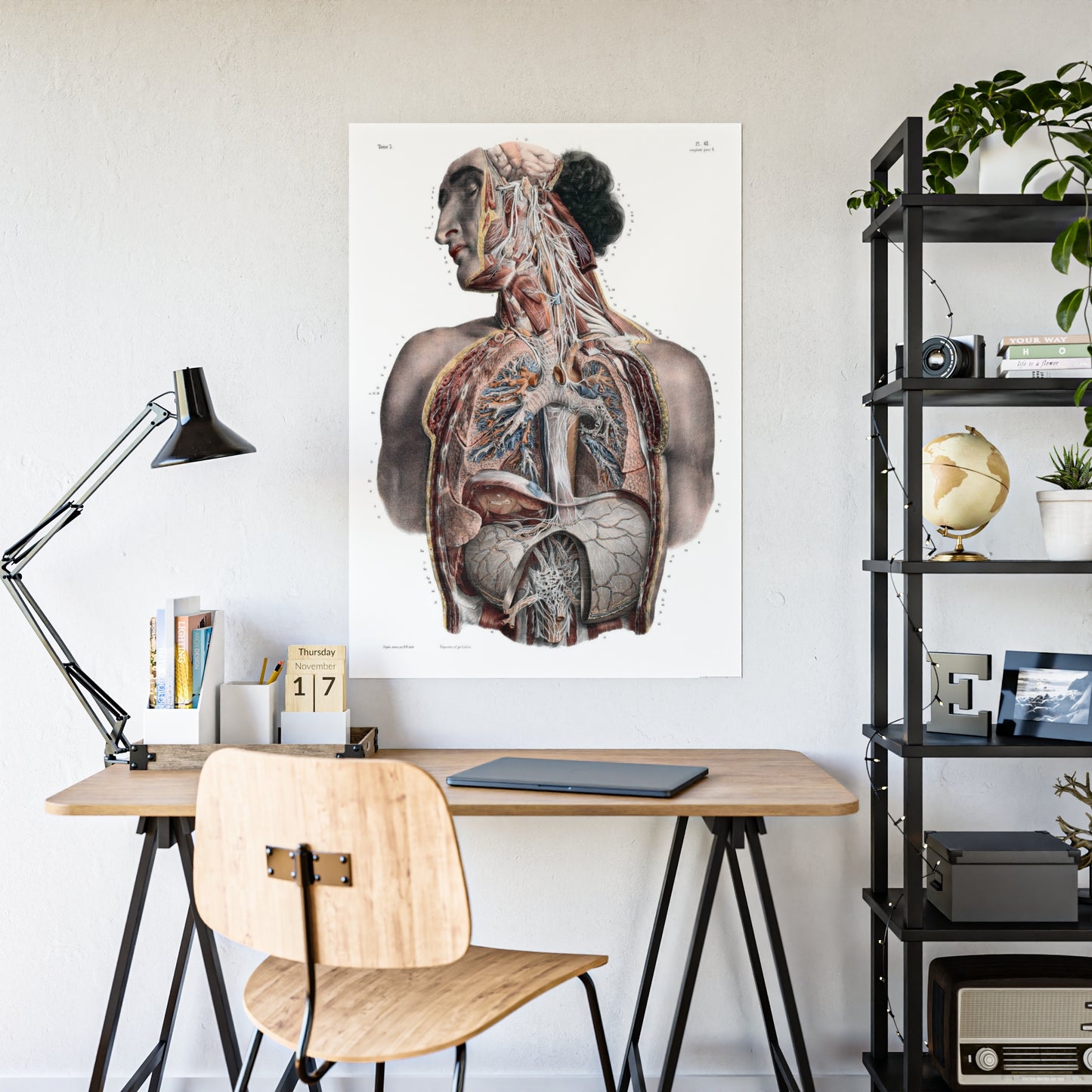 Traité complet de l'anatomie de l'homme, vol. 3 Torso Poster