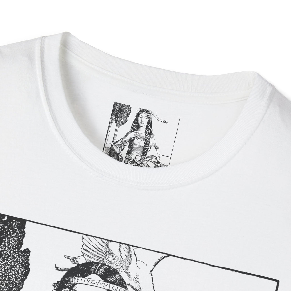 Arthur Pyle The Lady of ye Lake Witchcraft T-Shirt