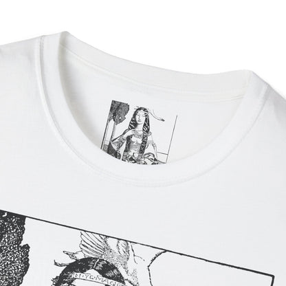Arthur Pyle The Lady of ye Lake Witchcraft T-Shirt
