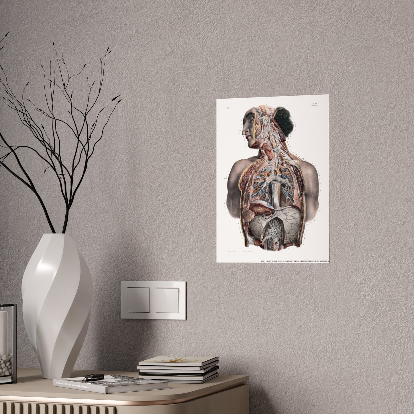 Traité complet de l'anatomie de l'homme, vol. 3 Torso Poster