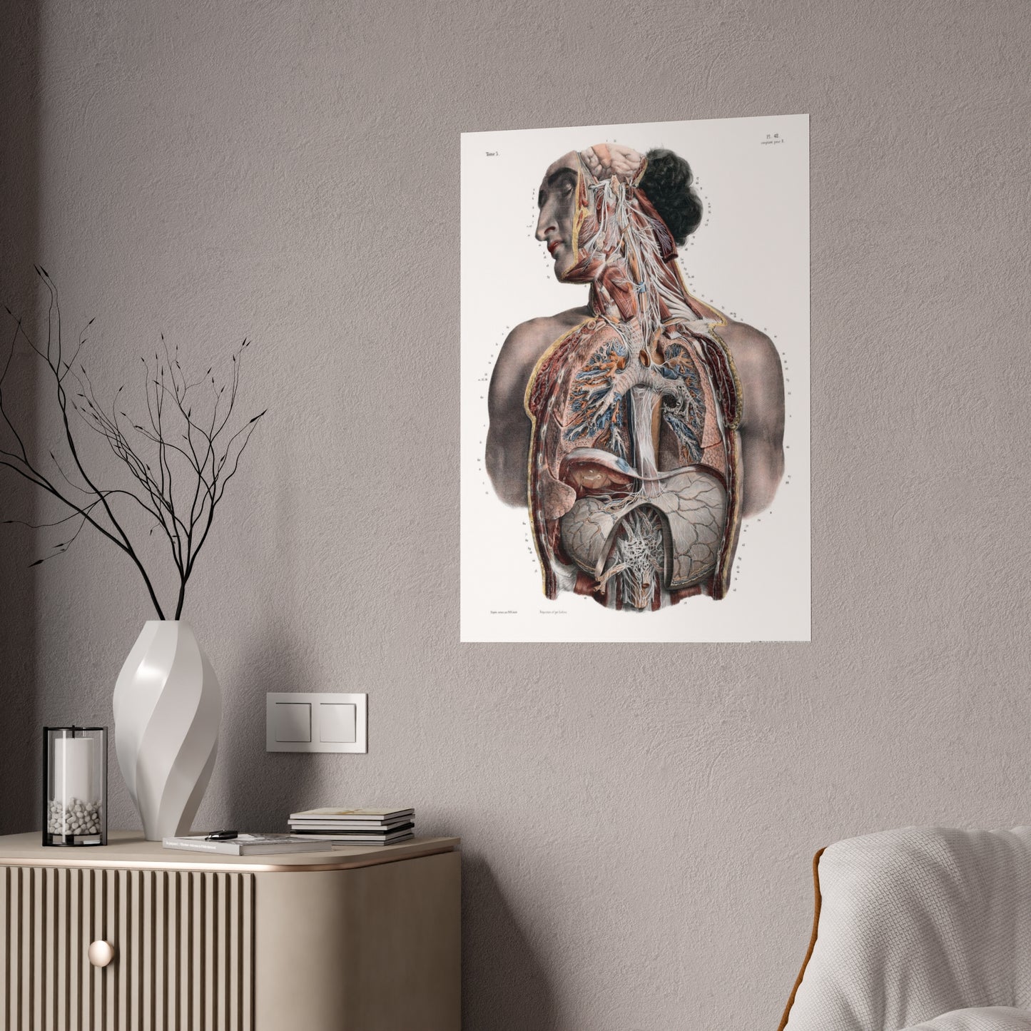 Traité complet de l'anatomie de l'homme, vol. 3 Torso Poster