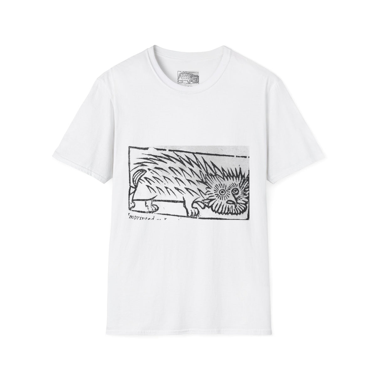 A Detection of Damnable Driftes Witchcraft T-Shirt