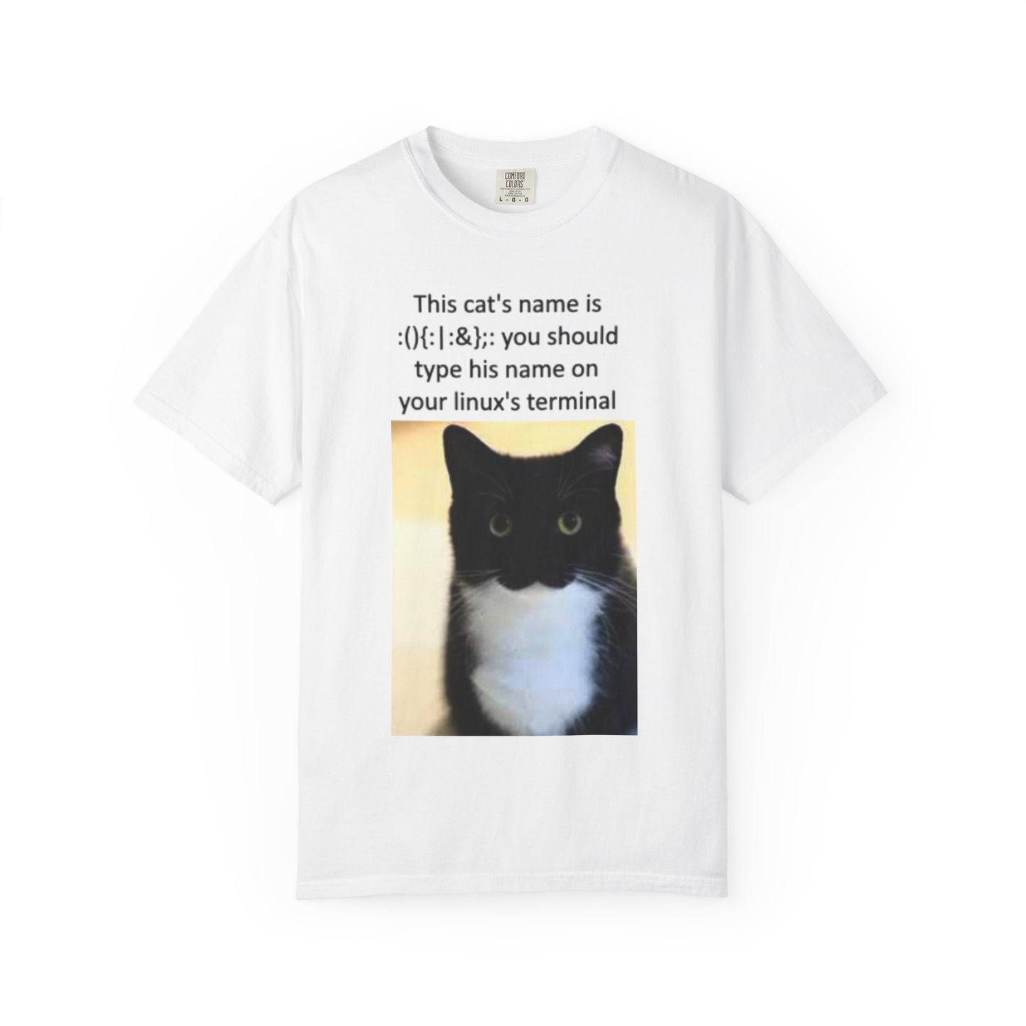 This is my cat