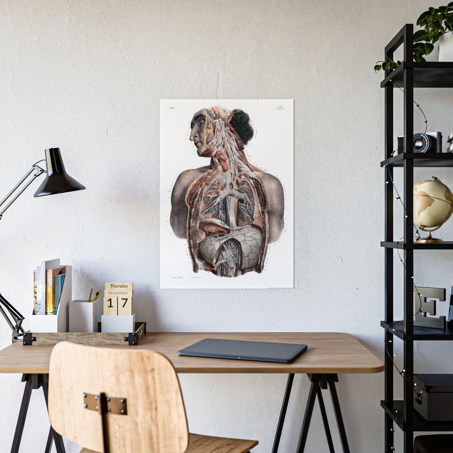 Traité complet de l'anatomie de l'homme, vol. 3 Torso Poster