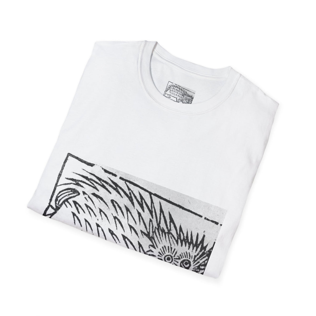 A Detection of Damnable Driftes Witchcraft T-Shirt