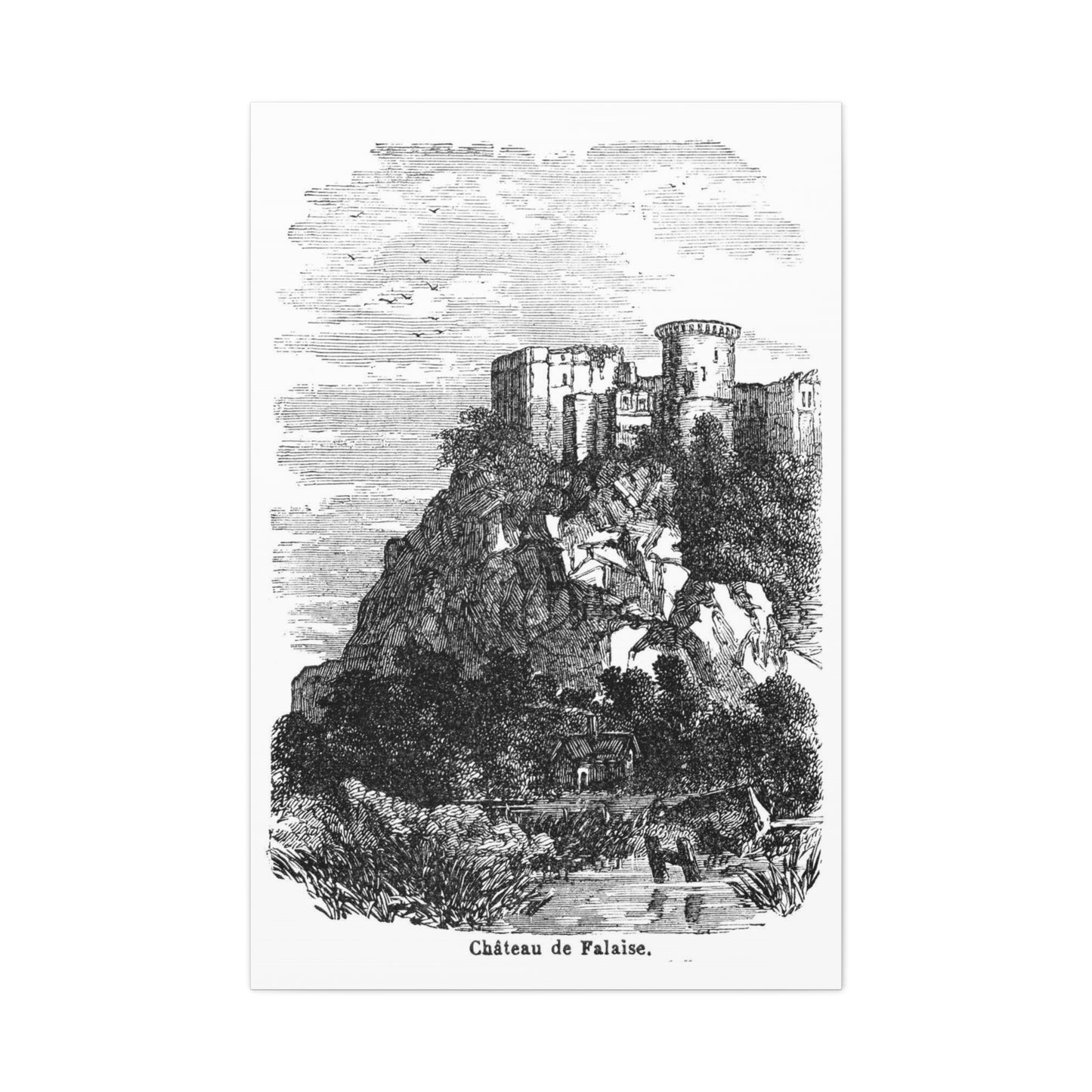 Falaise, France