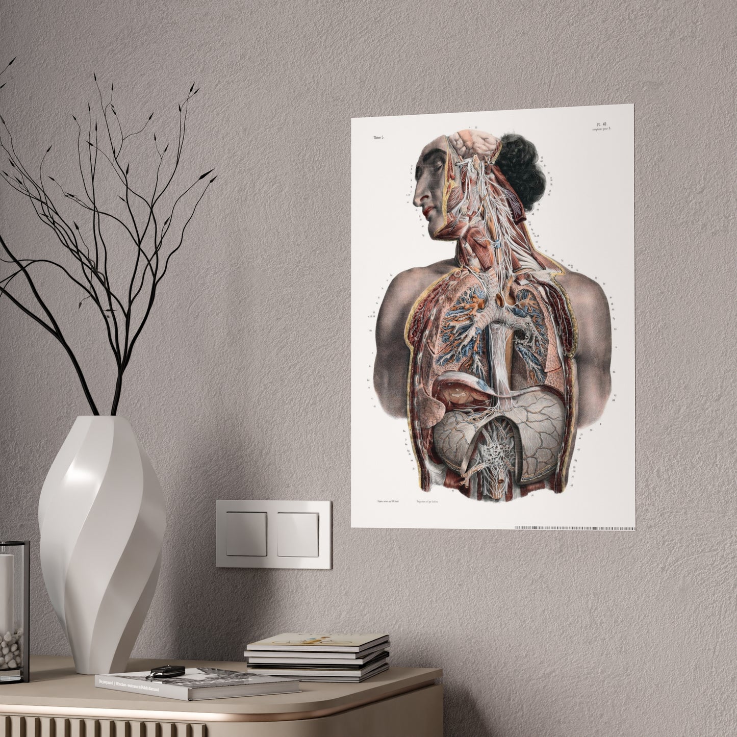 Traité complet de l'anatomie de l'homme, vol. 3 Torso Poster